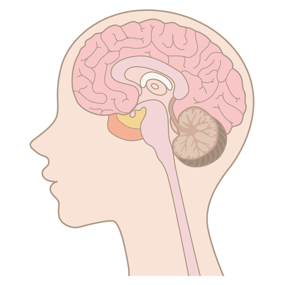 脳神経外科について
